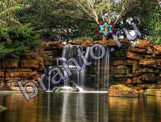 Найди животных решебник Уровень 1455