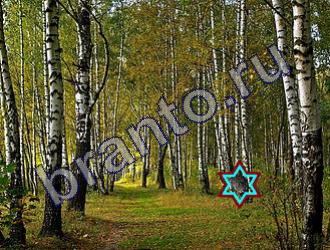 ответы на игру Найди животных Уровень 1456