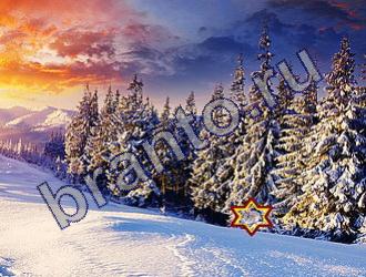 Найди животных подсказки в одноклассниках Уровень 1458