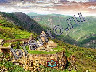 ответы на игру Найди животных Уровень 1459