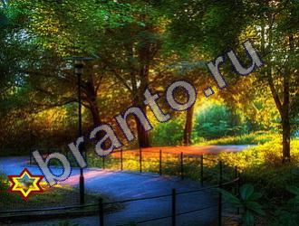 ответы на игру Найди животных Уровень 1464