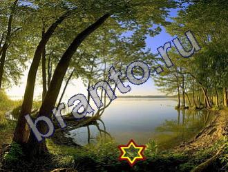 ответы на игру Найди животных Уровень 1465