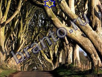 ответы на игру Найди животных Уровень 1466