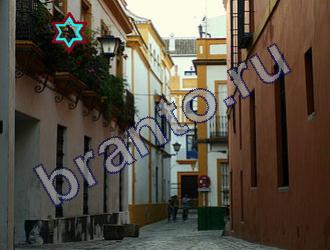 ответы на игру Найди животных Уровень 1467