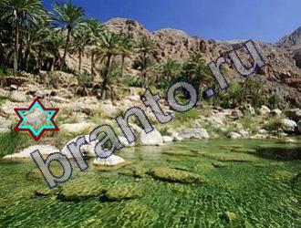 ответы на игру Найди животных Уровень 1469