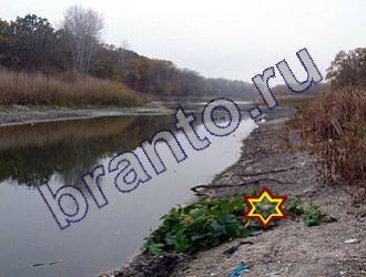 ответы на игру Найди животных Уровень 1470