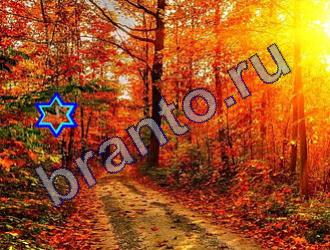 ответы на игру Найди животных Уровень 1472