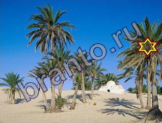 ответы на игру Найди животных Уровень 1473