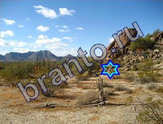 ответы на игру Найди животных Уровень 1474