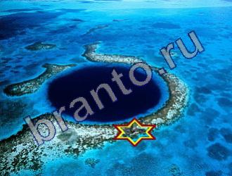 ответы на игру Найди животных Уровень 1475