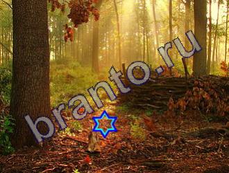 ответы на игру Найди животных Уровень 1477