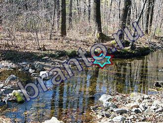 подсказки к игре Найди животных Уровень 1478