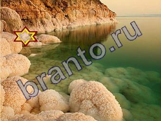 ответы на игру Найди животных Уровень 1479