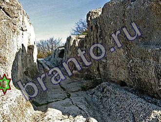 ответы на игру Найди животных Уровень 1480