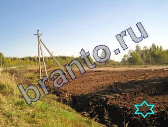 ответы к игре Найди животных Уровень 1483