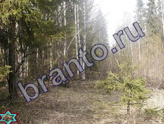 Найди животных Уровень 1487