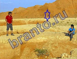 ответы на игру Найди животных Уровень 1488