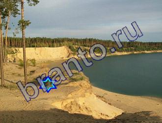 Найди животных Ответы Уровень 1489