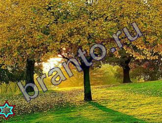 ответы на игру Найди животных Уровень 1490