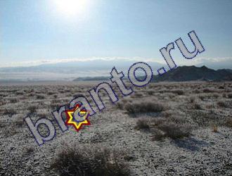 Найди животных подсказки Уровень 1491