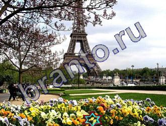 Игра Найди животных ответы Уровень 1493