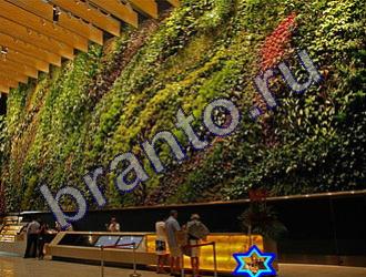 подсказки Найди животных Уровень 1494