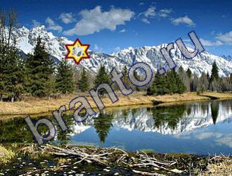 ответы на игру Найди животных Уровень 1496