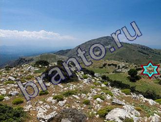 подсказки на игру Найди животных Уровень 1497