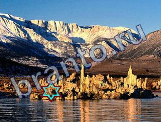 Найди животных игра ответы Уровень 1651