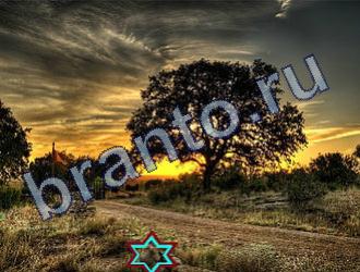 ответы на игру Найди животных Уровень 1652