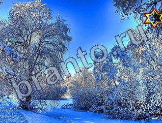 подсказки к игре Найди животных Уровень 1653