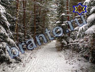 ответы на игру Найди животных Уровень 1654