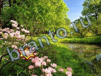 Найди животных решебник Уровень 1655