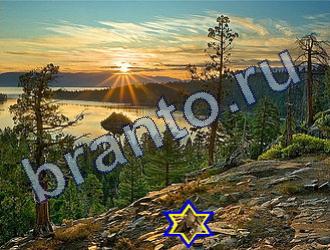 ответы на игру Найди животных Уровень 1656