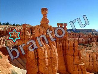 Найди животных подсказки в одноклассниках Уровень 1658