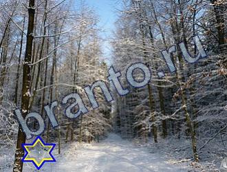 Игра Найди животных ответы Уровень 1660