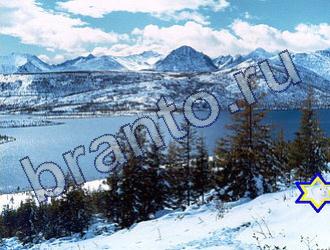 ответы на игру Найди животных Уровень 1662