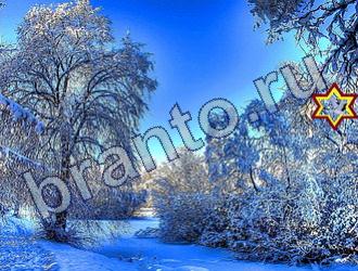 ответы на игру Найди животных Уровень 1664