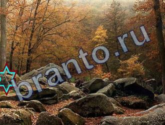 ответы на игру Найди животных Уровень 1665