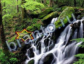 ответы на игру Найди животных Уровень 1666