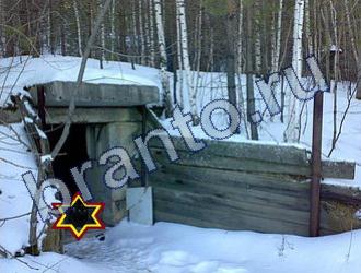 ответы на игру Найди животных Уровень 1672