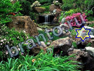 ответы на игру Найди животных Уровень 1673