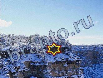 ответы на игру Найди животных Уровень 1677