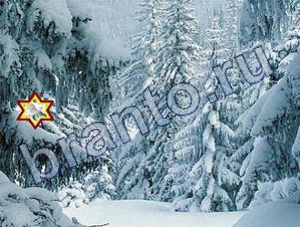 ответы на игру Найди животных Уровень 1679