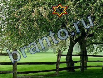 ответы на игру Найди животных Уровень 1680