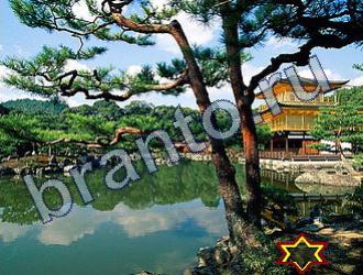 Найди животных ответы на игру Уровень 1681