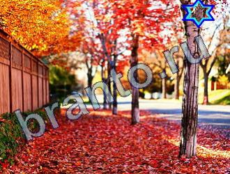 ответы на игру Найди животных Уровень 1682