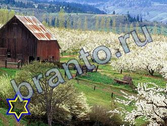 ответы к игре Найди животных Уровень 1683