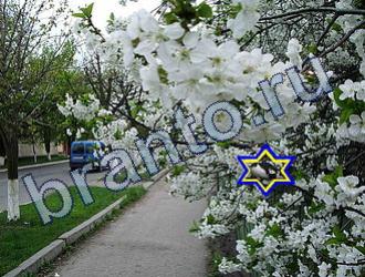 ответы на игру Найди животных Уровень 1684