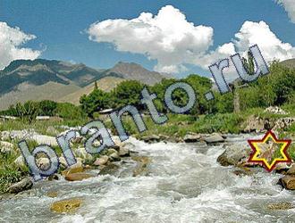 ответы на игру Найди животных Уровень 1685